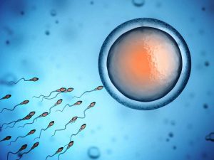 Popular Misconceptions About Infertility 3