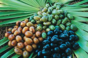 Herbs That Support Male Fertility, Saw Palmetto Berries