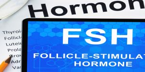 Follikel Stimulierendes Hormon (FSH) und dessen Rolle für die Fruchtbarkeit 3