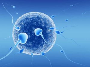 Cooler Seasons Lead to Higher Sperm Health