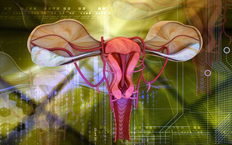 Can Uterus Transplants Help Overcome Infertility