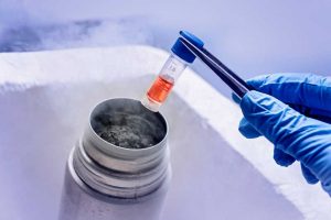 Egg Freezing: Fertility without an Expiration Date? 1