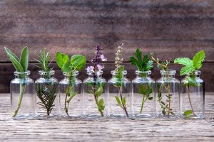 Homeopathy and Infertility: Why Natural Therapies are an Option Worth Considering 1