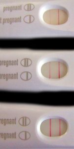 Positive Pregnancy Test Results vs. Test Evaporation Lines