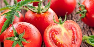 Tomaten für bessere Spermiengesundheit