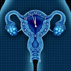 Fertility and Our Biological Clock