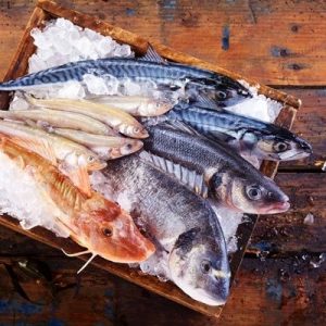 Omega-3-Fettsäuren sind in Fischen enthalten