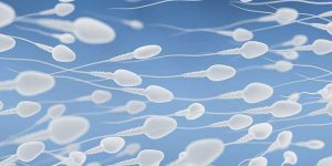 Spermaanalyse könnte Unfruchtbarkeitsraten senken