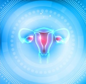 Maintaining Optimal Ovarian Function with Melatonin  1