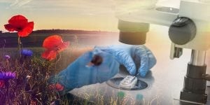 Wie die Sommerzeit Ihren IVF-Erfolg steigern kann