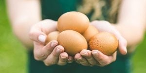 Die Gesundheit der Eizellen verbessern: ein Plan für 90 Tage