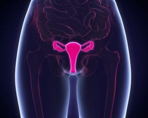 Die Gesundheit des Gebärmutterhalses und Ihre Fruchtbarkeit