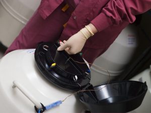 Wie Sie Fertilitätsprobleme nach einer Brustkrebsdiagnose bewältigen