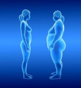 Gewicht und Fruchtbarkeit: Wie Ihr Gewicht Ihre Fruchtbarkeit beeinflussen kann