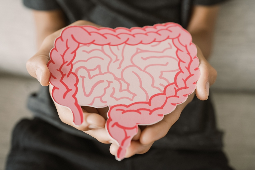 Welche Rolle das Darmmikrobiom bei Endometriose und PCOS spielt 1