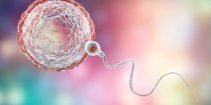 Wie Spermien eine erfolgreichen Befruchtung verhindern können