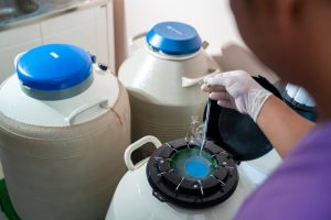 Wie bestimmte Technologien dabei helfen, die richtigen Spermien auszuwählen, um die Erfolgsraten bei einer In-vitro-Fertilisation zu erhöhen 1