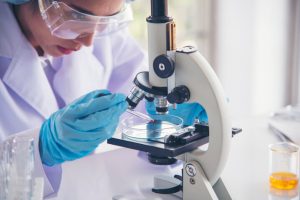 Menschliche Gebärmutter besiedelt von Klonen mit krebsauslösenden Mutationen, die früh im Leben auftreten 1